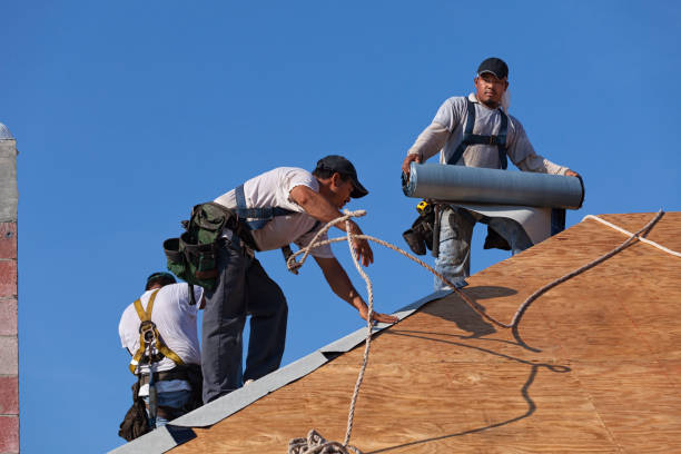 Roof Gutter Cleaning in Wray, CO